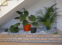 Mur végétal, patio, décoration d'intérieur Bourg-n-Bresse
